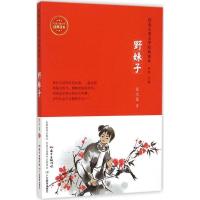 正版新书]红色儿童文学经典读本?野妹子任大星9787554807125