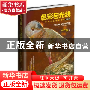 正版 色彩与光线:写实主义绘画指南:珍藏版 [美]詹姆斯·格尔尼 人