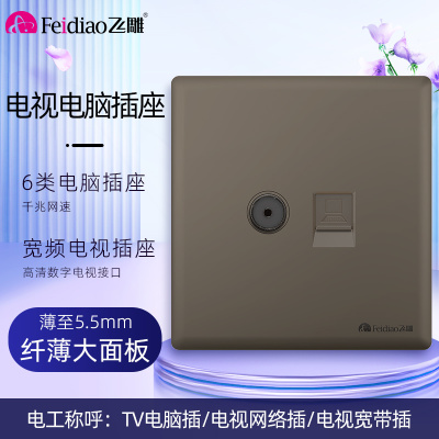 飞雕(FEIDIAO)超薄大板 开关插座格韵系列86型带开关插座面板墙壁电源插座 格韵荧光灰电视电脑插