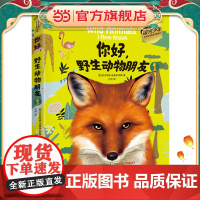你好,野生动物朋友1(美绘精装版)