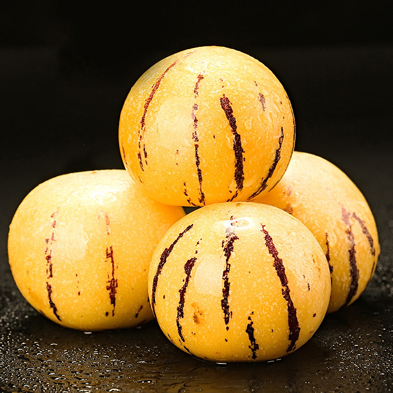 [西沛生鲜]云南特产石林人参果 净重5斤 特大果 单果90-110g 熟果 香甜可口 新鲜应季水果