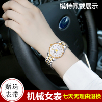 瑞士嘉年华Carnival正品新款手表自动机械表 女士休闲时尚满天星水钻商务女表夜光防水金属精钢腕表JNH8678