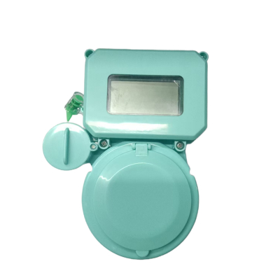 万梓 物联网水表 DN15 个