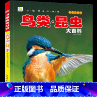 [选3件39元]鸟类 昆虫 [正版]世界大全书注音版认识的书 儿童大百科关于各个国家书科普小百科读物科学认知