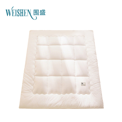 围盛 纯棉软垫 120*200*3cm-4斤白 张