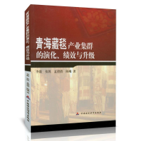 正版新书]青海藏毯产业集群的演化成绩与升级李毅张凯9787509551