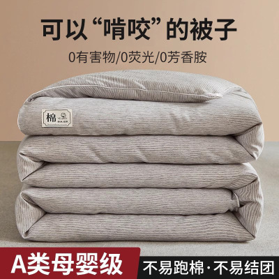 冬季大豆被子被芯加厚保暖冬被春秋被单人棉被被絮四季通用四季被