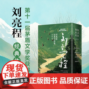 刘亮程经典作品集全4册听万物的灵说话+心地才是最远的荒地+我把故乡藏在身后+许多草胡乱长着 天地出版社 茅盾鲁迅文学奖