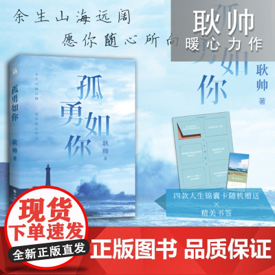 [ 正版书籍]孤勇如你 继所有失去的都会以另一种方式归来后耿帅20新作 成功励志书排行榜