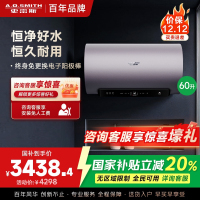 AO史密斯60升电热水器 国家补贴 金圭内胆 双棒分离速热 免换镁棒 免清洗短款 E60ED8-B