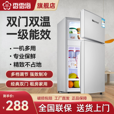 香雪海 小冰箱 家用小型双门冰箱 一级能效电冰箱 迷你小型节能冷藏冷冻 租房 宿舍冰箱 42S118E 银拉丝