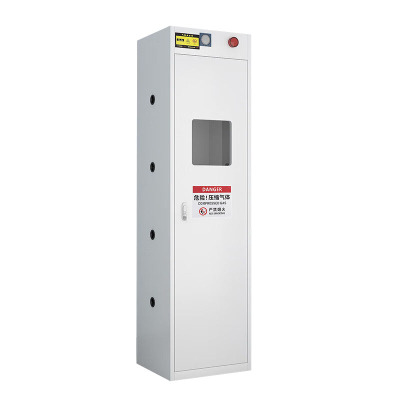 戴劲 气瓶柜防爆柜易燃气体存储柜易爆气体存放柜安全柜 单瓶一代