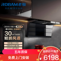 老板油烟机[第五代小黑翼D1H]30风量大吸力低音抽排吸油烟机燃气灶套装 烟灶套装27A2S+D2P(烟灶联动防干烧灶)