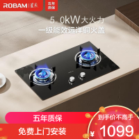 老板(Robam)[星辰系列]家用燃气灶双灶嵌入式煤气灶台嵌两用 可调节换装不改孔灶具猛火灶20B2A 5.0kW液化气