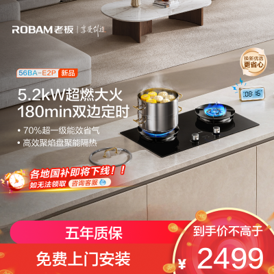 老板(Robam)E2P燃气灶联动定时灶家用厨房炉具配件灶台灶具 5.2kW 70%热效率56BA-E2P 天然气