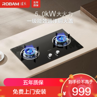 老板(Robam)[星辰系列]家用燃气灶双灶嵌入式煤气灶台嵌两用 可调节换装不改孔灶具猛火灶20B2A 5.0kW液化气