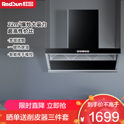 红日(RedSun)欧侧跨界油烟机22立方米大风量电热自动洗智能挥手感应一键爆炒大吸力侧吸超薄高端烟机RTEU23H