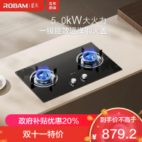 老板(Robam)[星辰系列]家用燃气灶双灶嵌入式煤气灶台嵌两用 可调节换装不改孔灶具猛火灶20B2A 5.0kW液化气