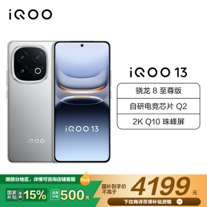 iQOO 13 纳多灰 16GB+512GB 全网通5G手机电竞手机自研电竞芯片Q2传奇版骁龙8至尊版 2K护眼屏