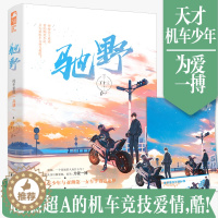 [醉染正版]正版 驰野 丁十三著已完结 大鱼青春文学 现代都市言情小说 赛道竞技爱情高甜宠文 机车少年女车手