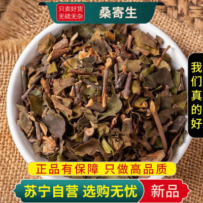 甄选桑寄生100克干货正品新货煮水泡茶松寄生寄生干货无硫另售杜仲