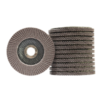 智铮朗月 75塑盖磨光砂轮 100X16mm 80目 片