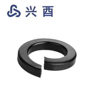 兴酉 弹簧垫圈 M5 个