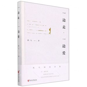 [N]一边走一边爱(精)-9787533962159
