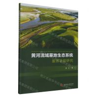 [N]黄河流域草地生态系统服务功能研究-9787568092173