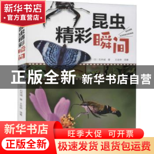 正版 昆虫精彩瞬间 (日)石井诚著 河南科学技术出版社 9787572504