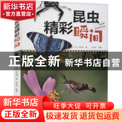 正版 昆虫精彩瞬间 (日)石井诚著 河南科学技术出版社 9787572504