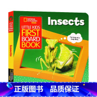 [正版]国家地理儿童 昆虫 英文原版绘本 Little Kids First Board Book: Insects儿
