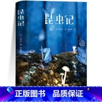 [正版]昆虫记法布尔原著完整12-13-15岁初中生版课外阅读物文学小学生四五六八年级上册书目