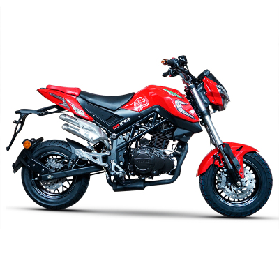 风感觉国四摩托车跑车宝雕小暴龙200cc小怪兽街车特技公路赛机车可