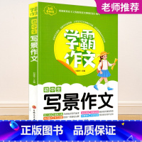 初中生写景作文 八年级下 [正版]2023秋浙江期末七八九年级上册下册语文数学英语科学历史与社会道德与法治人教版浙教版外