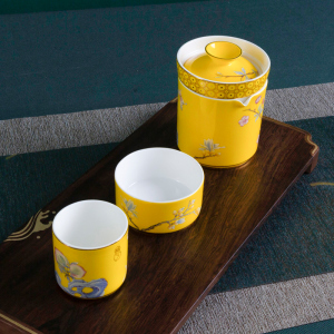 Gao Chun Ceramics高淳陶瓷中式珐琅彩茶具便携式骨瓷快客杯商务旅行小茶具礼盒 春华快客杯礼盒装