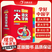 正版小学生大语文字典小学生专用多功能大全四字彩图彩色版中华现代汉语词语词典工具书中小学新华字典儿童成语积累大全训练书