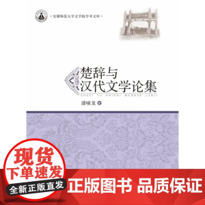 楚辞与汉代文学论集