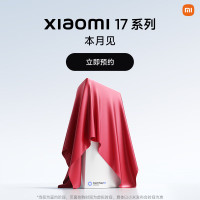 小米 17 pro max