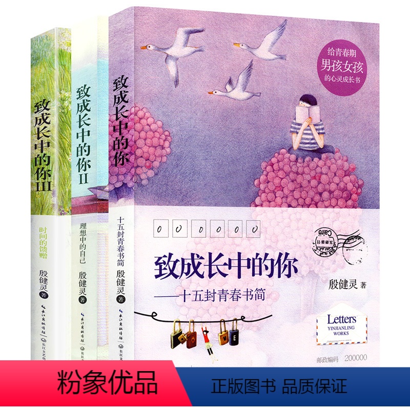 [正版]致成长中的你 十五封青春书简理想中的自己时间的馈赠全套3册 殷健灵给青春期男孩女孩的心灵成长励志书籍 青春文学