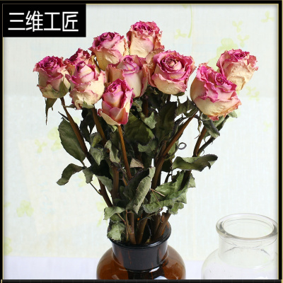 网红干花花束ins玫瑰真花花束办公家居装饰北欧文艺小清新简约风三维工匠苏醒10枝干树枝