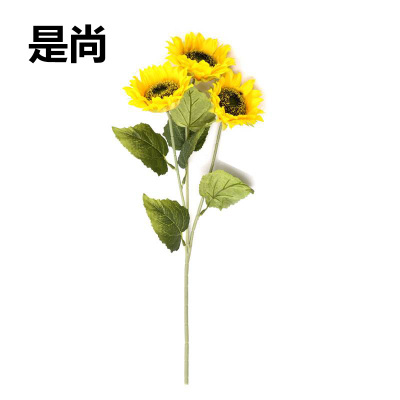 是尚 干花花束 三头/个