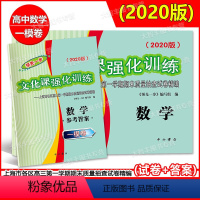 [正版]2020版领先一步文化课强化训练 上海市高考一模卷 数学 高三各区期末考试精编 试卷+答案 中西书局