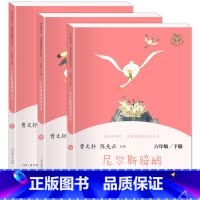 尼尔斯骑鹅旅行记(下册) 小学通用 [正版]人教版快乐读书吧6六年级上下册汤姆索亚历险记童年爱的教育小英雄雨来爱丽丝漫游