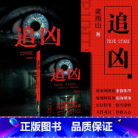 [正版]追凶 梁雨山著悬疑小说 拍案叫绝的案情推理 惊悚屏息的追凶现场 具有多年公安工作经验的作家潜心创作的社会派悬疑