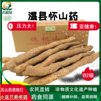 古温绿山药B2级40公分 焦作 温县 种植的 铁棍山药 2023年新品 怀 山药 含箱5斤 滋补佳品 传统中药材