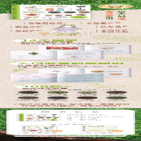 [M]爱上茶-9787559466228