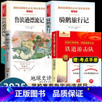 [山东寒假六年级]全套4册 [正版]2025山东省寒假读好书六年级课外书必读地球史诗46亿年有多少远铁道游击队鲁滨逊漂流