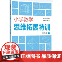 小学数学思维拓展特训 三年级下