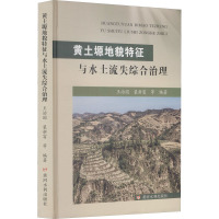 黄土塬地貌特征与水土流失综合治理